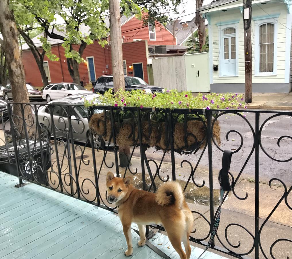 La Dauphine Bed And Breakfast New Orleans Luaran gambar